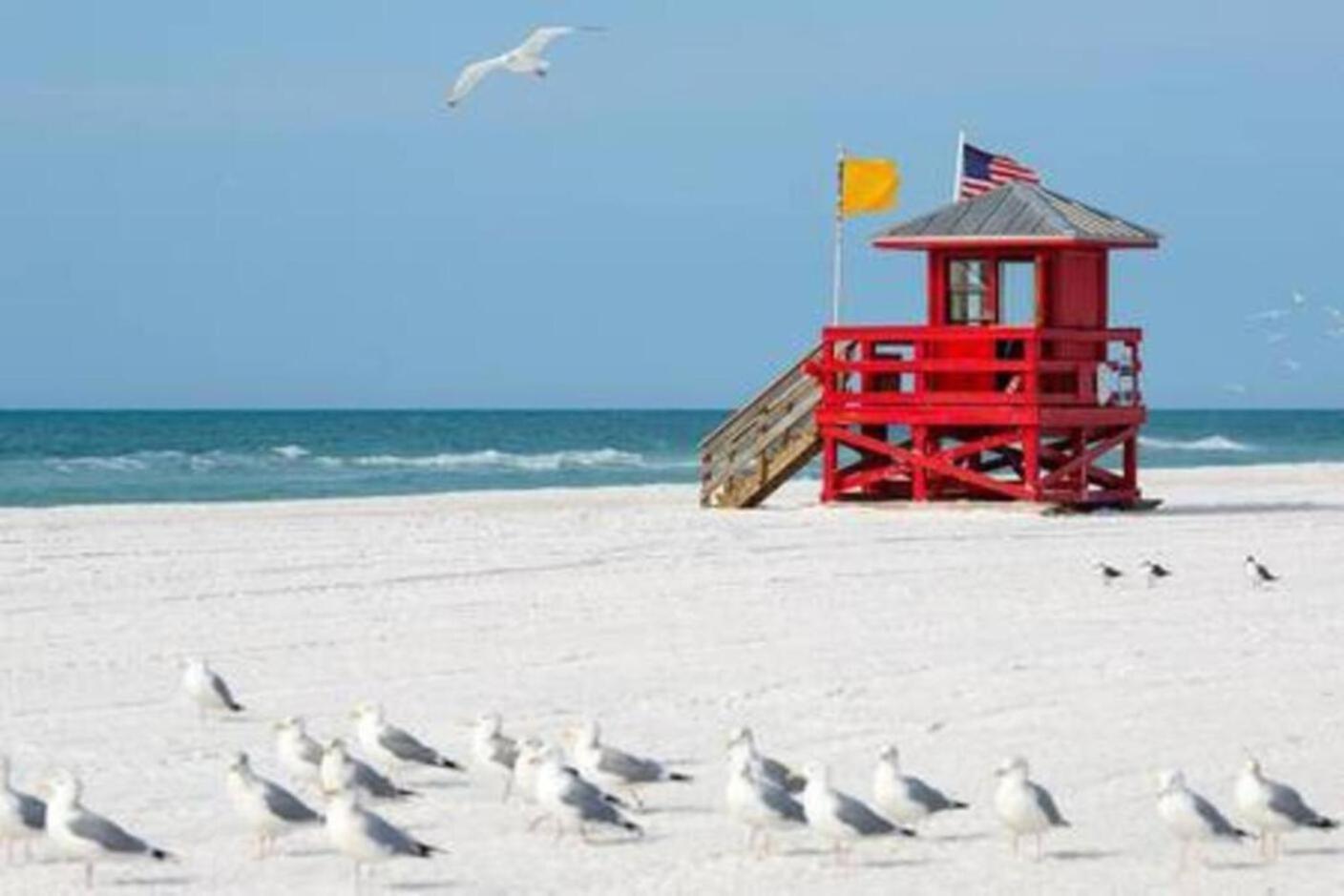 Fantastic Island House 1 Mile To The Beach With Heated Pool Sarasota Exterior photo